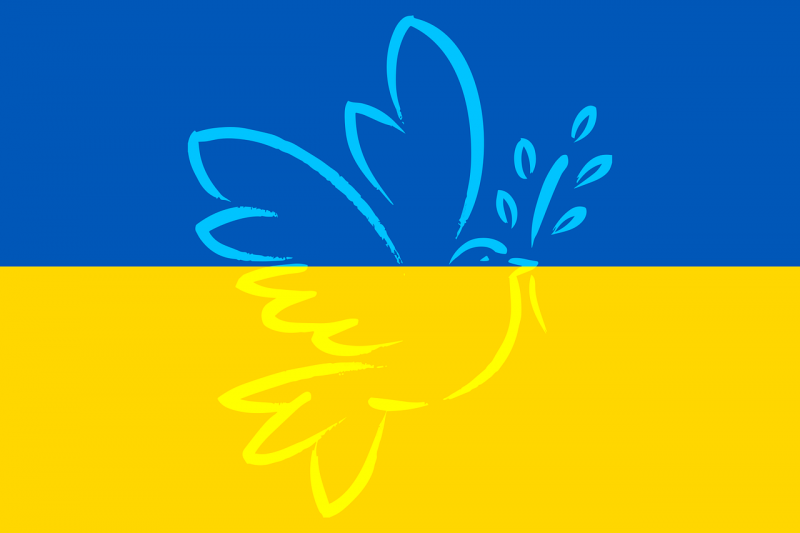ukraine_gf8c593fa6_1280.png ukraine_gf8c593fa6_1280.png